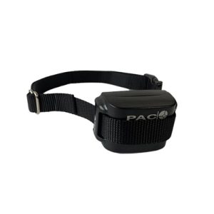 Dummy Medium/Large Dog Training Collar, weighted with plastic probes, no electronics, for familiarisation period