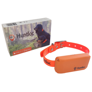 Small dog wearing a PAC DOG GSM-GPS tracking collar, designed for hunting or outdoor tracking, shown in a natural outdoor setting.