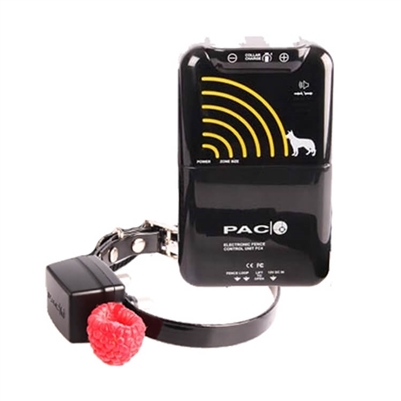 PAC Fence Miniature/Small Dog & Cat Collar system, shown without boundary wire, for containing small pets safely.