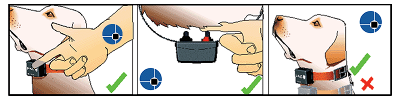 Graphic illustrating PAC Dog Collar fitting tips, showing correct collar placement around a dog’s neck, how to adjust strap length, and guidance for a snug but comfortable fit.