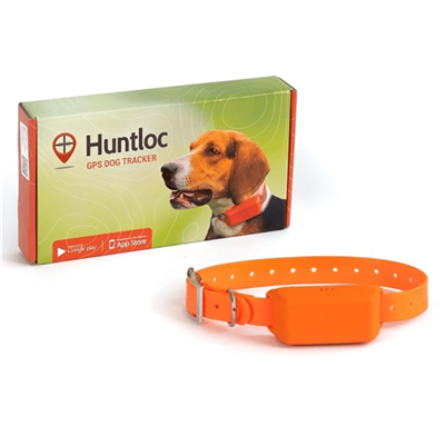 Medium/Large dog wearing a PAC DOG GSM-GPS tracking collar, designed for hunting or outdoor tracking, shown on a dog in a natural setting.
