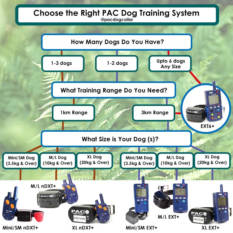 Infographic of the PACDOG Training System showing a remote handset and dog collar with key features highlighted.
