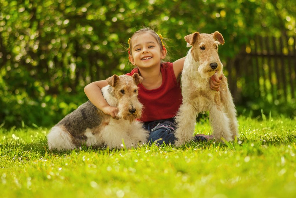 Little child with her arms around two dogs on a green lawn, showing affection and playfulness.