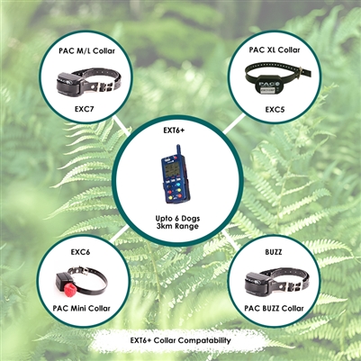 PAC Dog Training System | 3km Range | Controls up to 6 Dogs Any Size | EXT6+ - Image 4