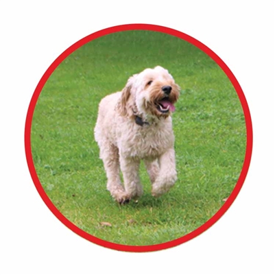 PAC Fence Miniature/Small | Dog & Cat | Excluding Wire Roll - Image 3