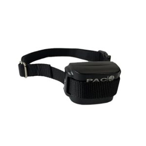 Dummy Collar for Medium/Large Dog