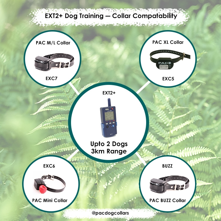 PAC Miniature/Small Dog Training System | 3km Range | EXT2+ - Image 6