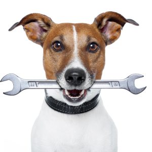 Service - Trainer Repair